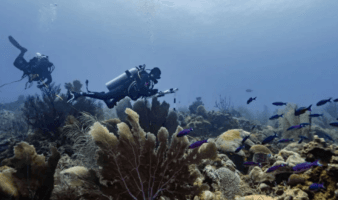 'Un modelo de desarollo que no esté relacionado al petróleo' es lo que pide Mariana Reyna para el Golfo de México | Mongabay
