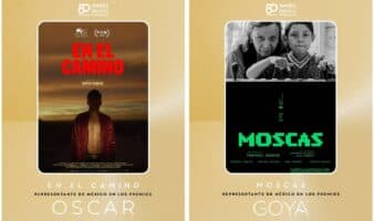 Y la película mexicana que va por el Oscar es…