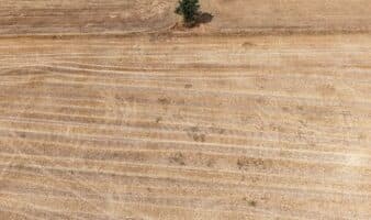 Francia prevé un impacto económico debido a la sequía y olas de calor