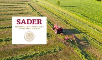 Incremento de presupuesto a SADER, espejismo nominal | Por Alberto Vizcarra