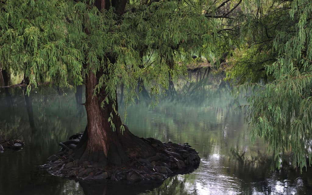 El Ahuehuete, viejo de agua: Las Plumas de la Serpiente con Mardonio ...