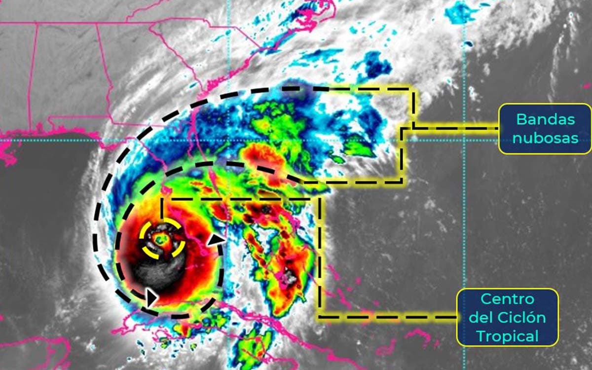 Ver las imágenes de origen