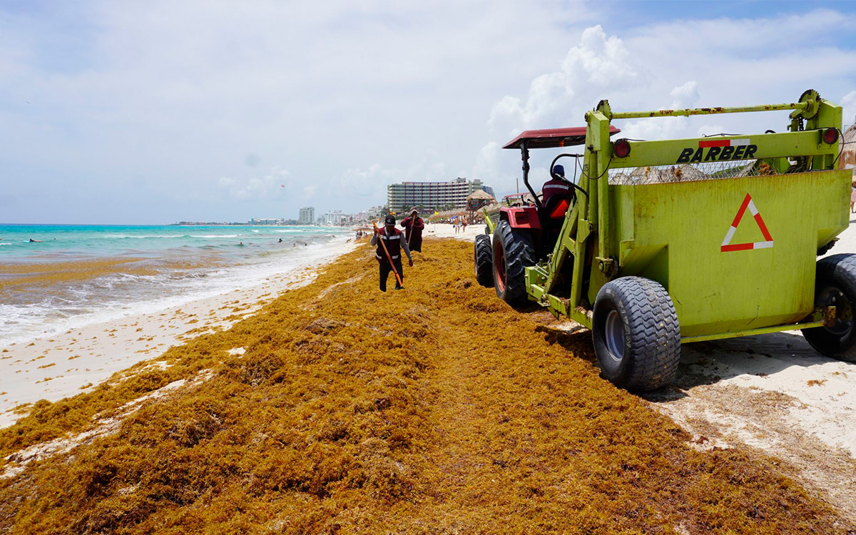Atentos, el sargazo llega antes al Caribe mexicano | Aristegui Noticias
